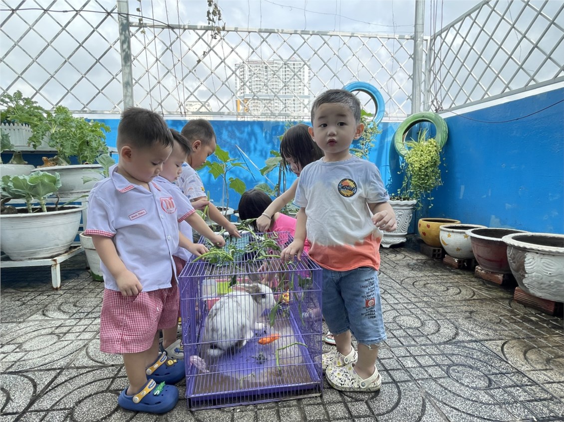 Ảnh đại diện